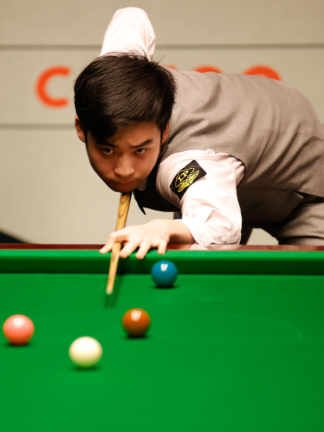 也向世界证 也向世界证